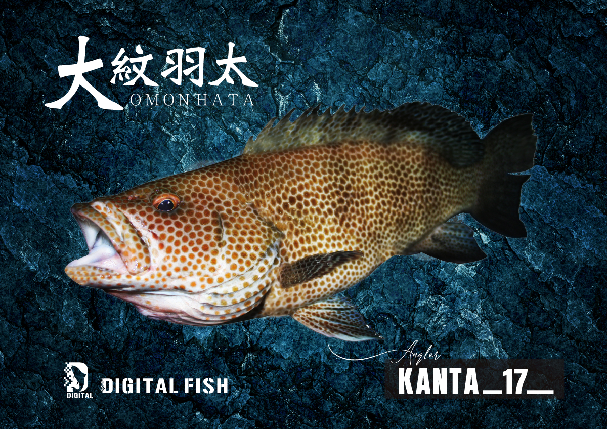 夏はロックフィッシュのデジタル魚拓 デジタル魚拓 フォトポスター制作 Digitalfish